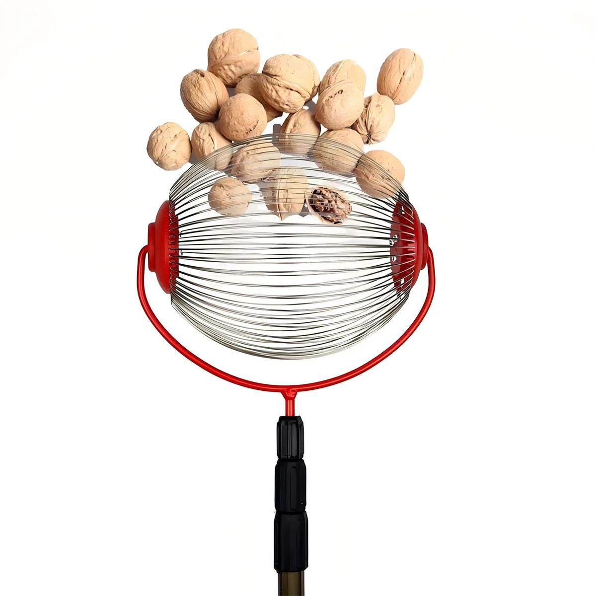 Rullino raccogli Noci Castagne Rullo raccogli Frutta con Asta telescopica raccogli Rotoli Cestino da Raccolta – la più Piccola per Raccogliere Frutta per Le Noci e Le