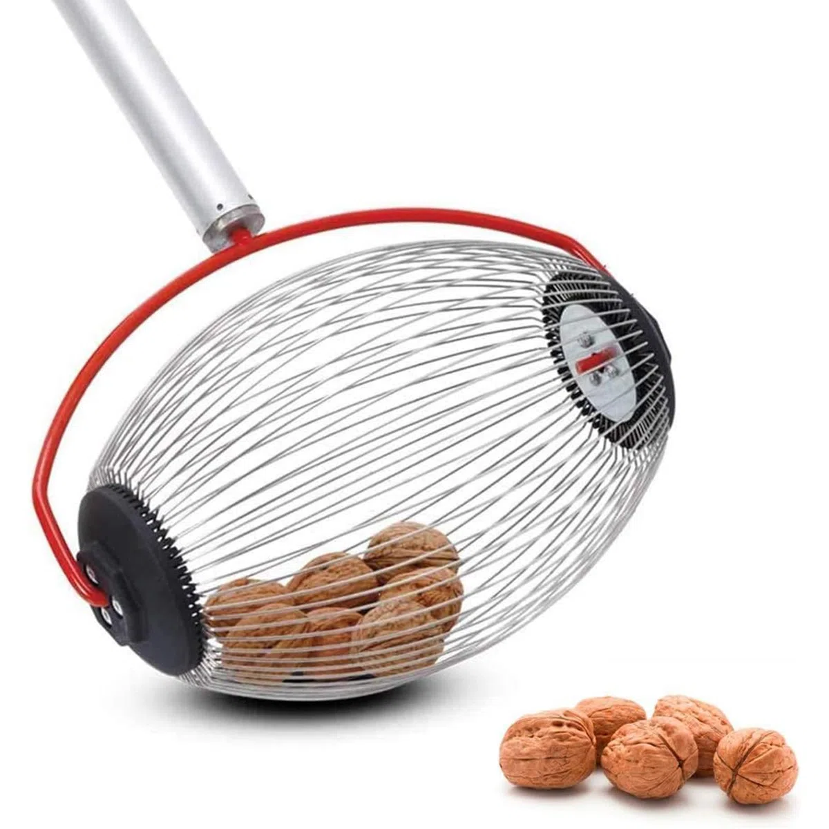 Rullino raccogli Noci Castagne Rullo raccogli Frutta con Asta telescopica raccogli Rotoli Cestino da Raccolta – la più Piccola per Raccogliere Frutta per Le Noci e Le