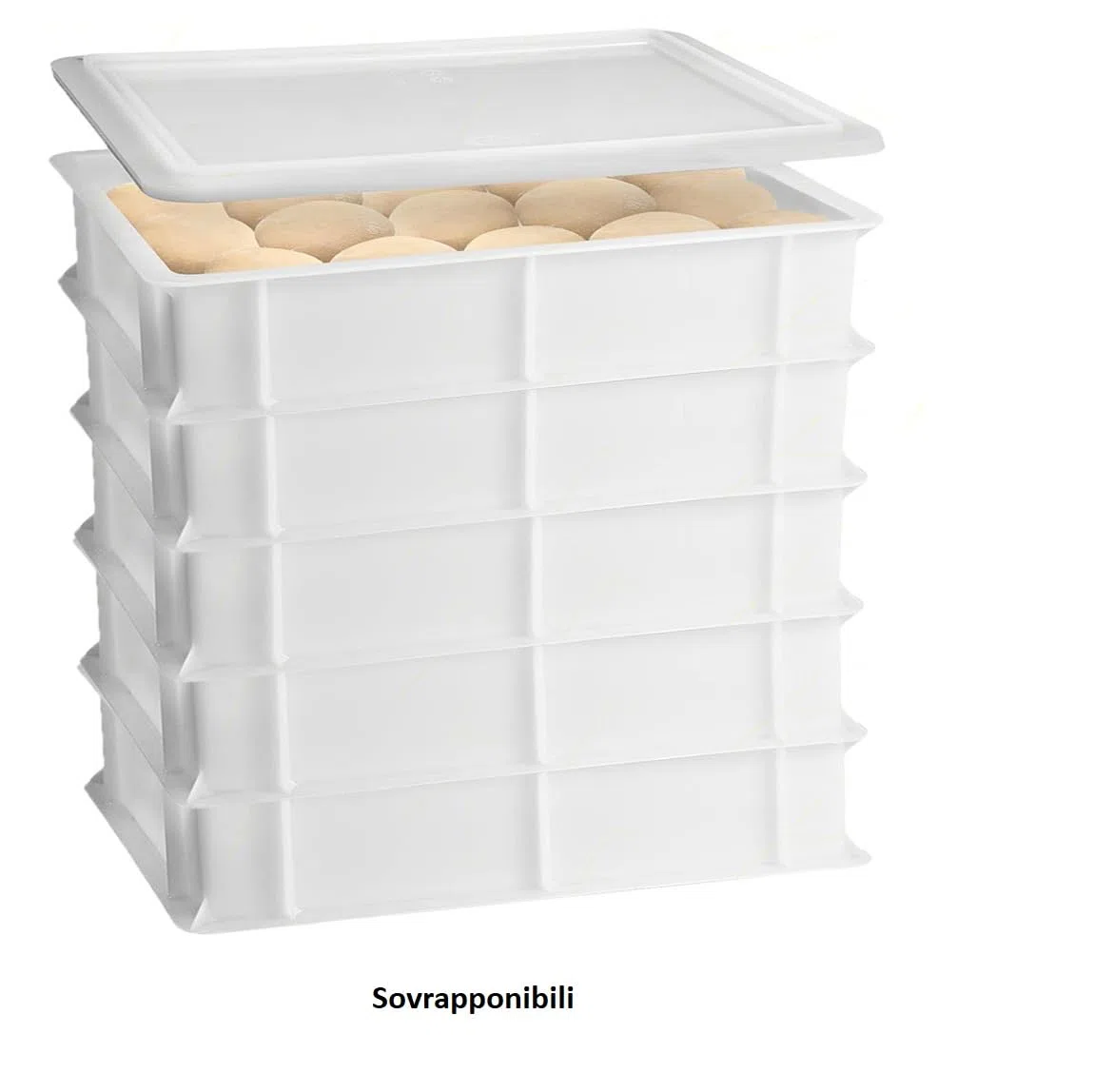 Set 5 Cassette con Coperchio portaimpasti palline Pizza Pane panette 60x40x10 certificata per alimenti VASCHETTA DA FRIGO professionale litri 18 impilabile sovrapponibile PIZZERIA CASEIFICI