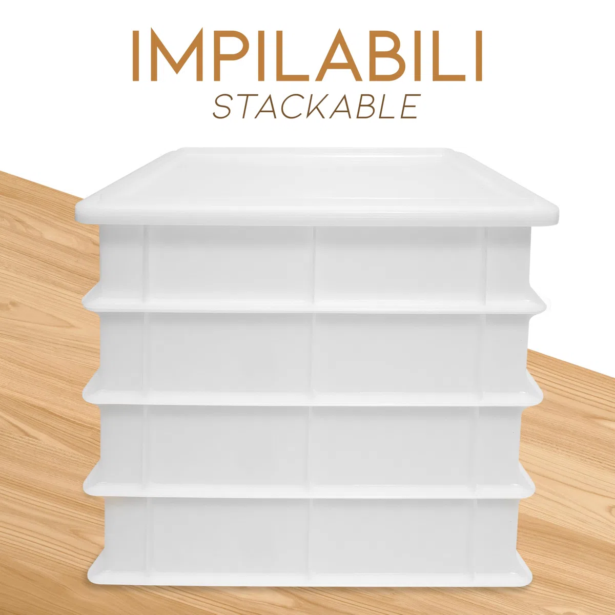 Lage Vaschetta + Coperchio Porta Impasto Lievitazione - Cassetta Contenitore in Plastica Polietilene per Pane Pizza Alimenti da Forno Sovrapponibile per Conservazione 12 litri - 30 x 40 x 10 cm