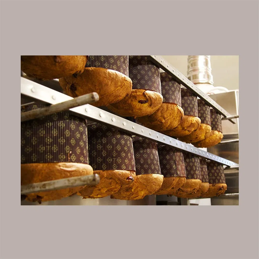 Lucgel Scatola Segreto Porta Panettone Alto da 1 Kg in Cartoncino Grafica Skin Coffee 21x21H21cm - 5 pezzi -