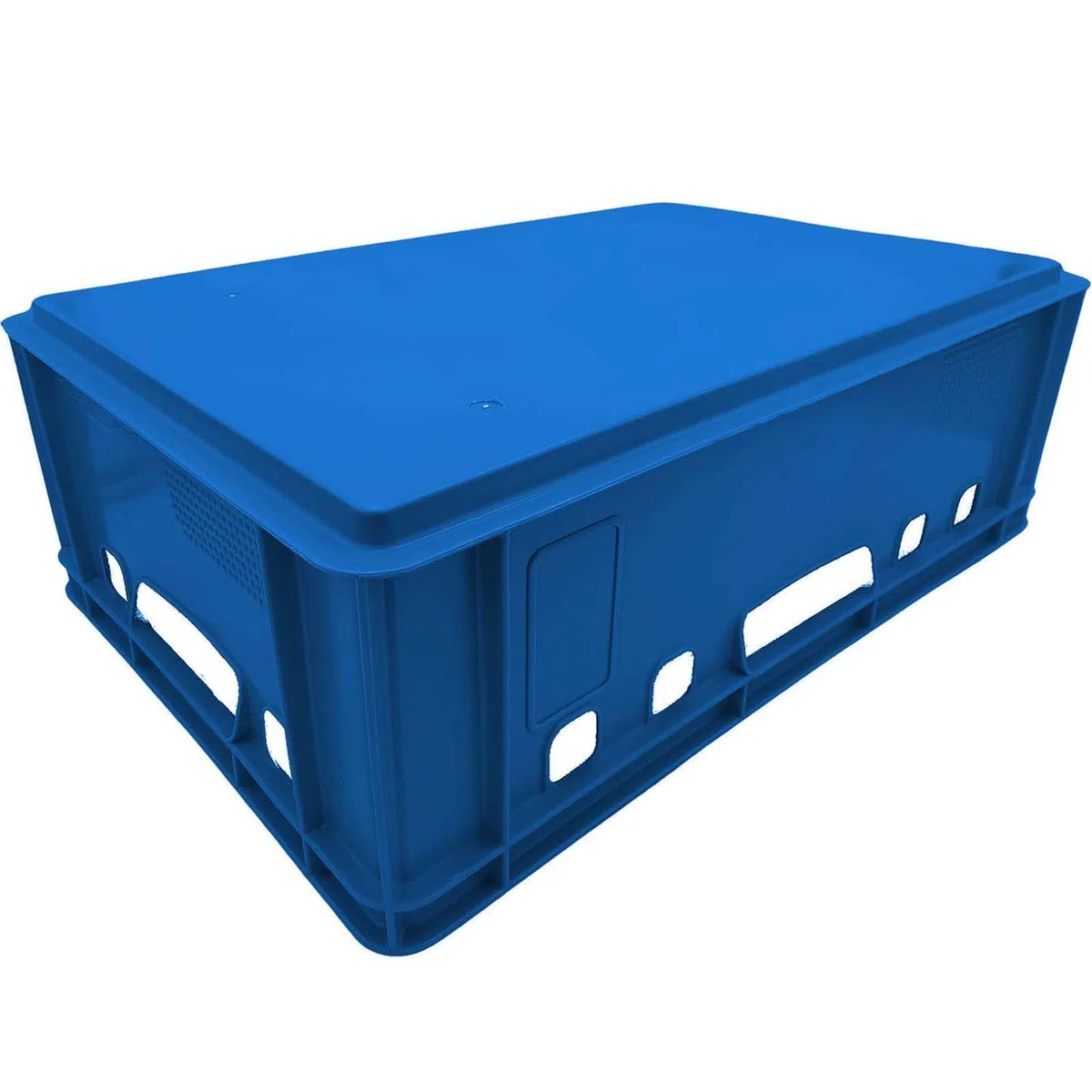BURI 1 scatola per carne E2, blu, 60 x 40 x 20 cm, scatola per macellaio, Eurobox dalla Germania, per uso alimentare, robusta, impilabile
