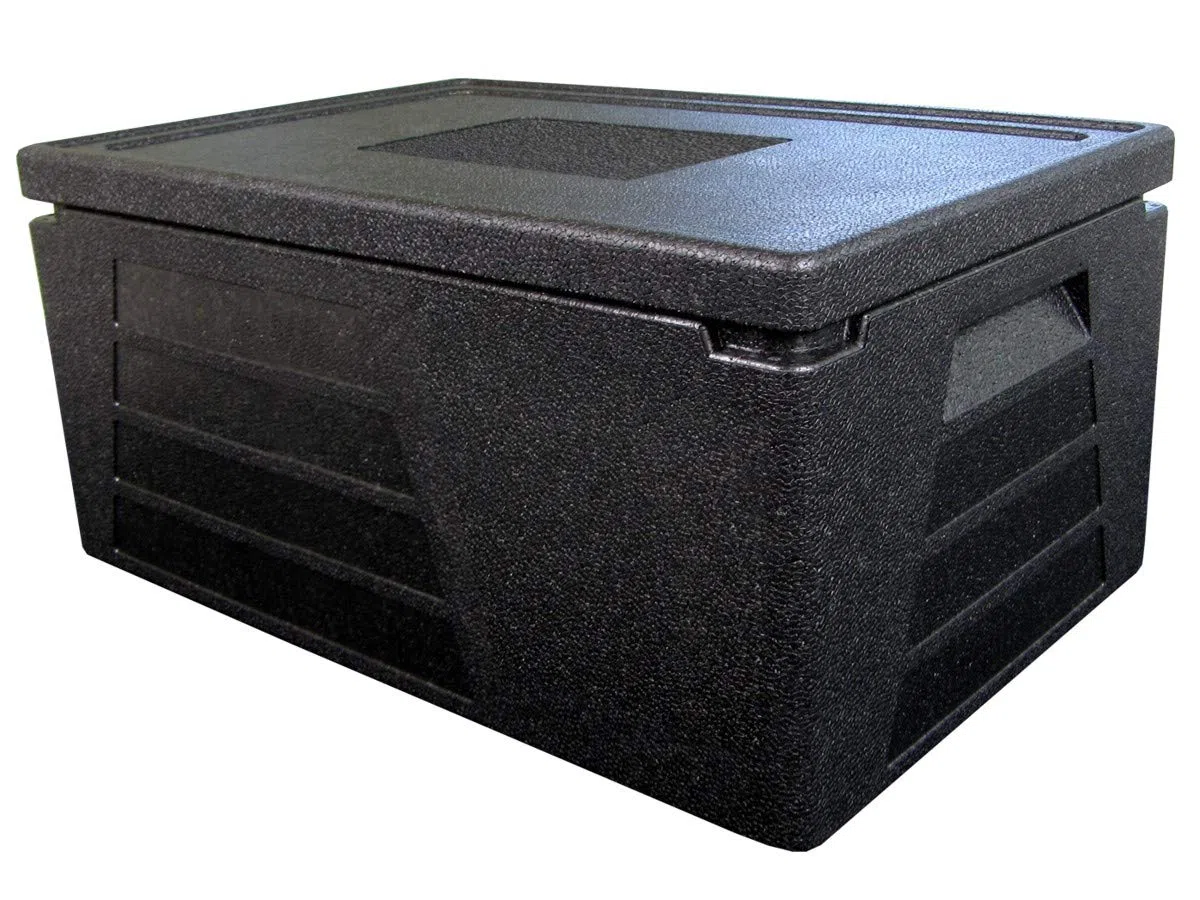 4 x Box termico professionale Contenitore termico Box refrigerante GN 1/1 con altezza effettiva di 230 mm